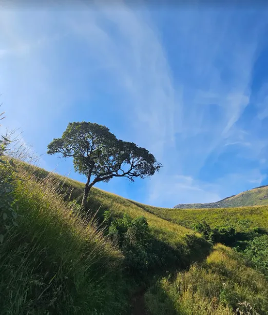 Panoramic view of Kudremukha Peak