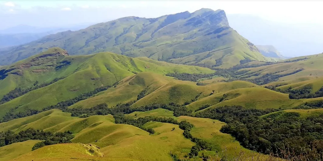 Grassland plateaus