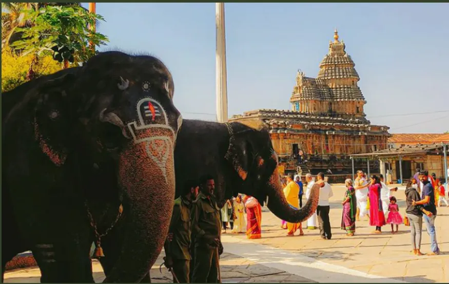 Temple rituals in Shringeri